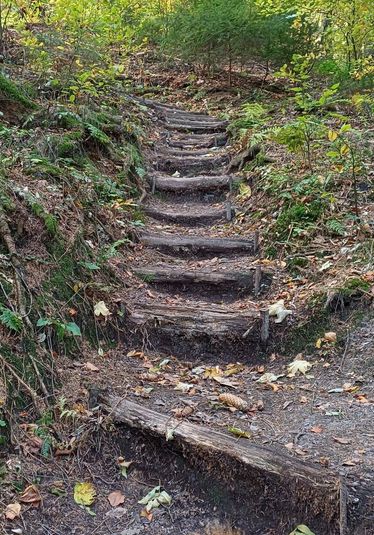 Die Seilerstiege, ein relativ steiler Aufstieg mit Stufen, welcher Kondtion verlangt