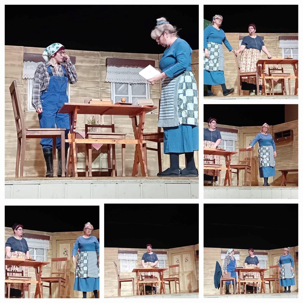 Minna wundert sich über die Schilder mit Namen für die Schweine