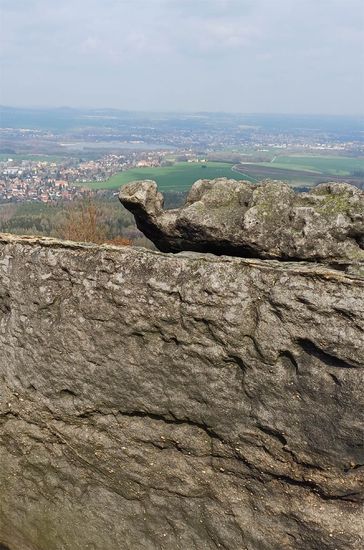 Die brütende Henne