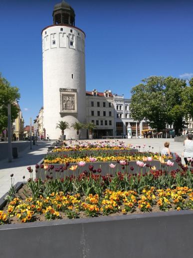 Dicker Turm oder auch Frauenturm genannt